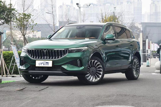 エネルギー車両 自動車 SUV ルックス・ヴォヤ フリーEVカー 5色 5ドア 5座 SUV 2024