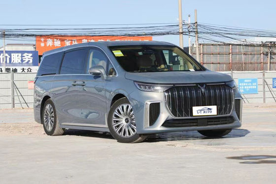 ヴァイヤ・ドリーマー 純電気7人座豪華座席MPV