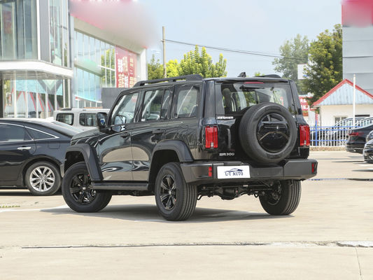 2024 タンク 300 クロス・カントリー 2.0T ターボガソリン SUV 最大トルク Nm 300-400Nm