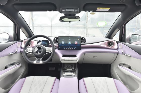 ベスト BYD ドルフィン 5 席 コンパクト セダン 電池 電動車 リチウム電池