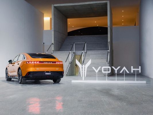 2024年 ヴォヤ 珠江 エレクトリック セダン スタンダード 5人座 電気自動車 5色 3000mmホイールベース
