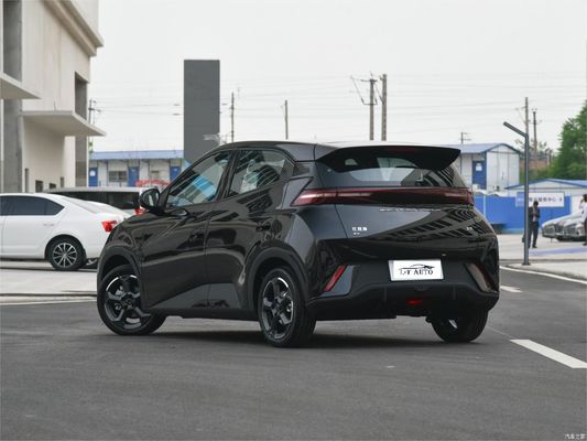 エネルギータイプ 電池 電動車 BYD シグール 4 シート ハッチバック 2024 SUV 車両