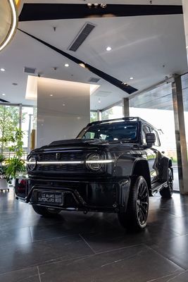 卓越したパワーとパフォーマンスを TANK 300 で体験してください