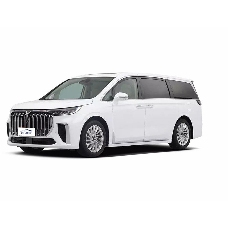 ヴァイヤ・ドリーマー 純電気7人座豪華座席MPV